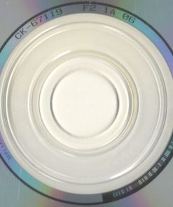 Shawn Colvin-3