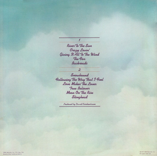 The Ozark Mountain Daredevils-1