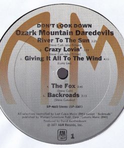 The Ozark Mountain Daredevils-2