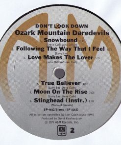 The Ozark Mountain Daredevils-3