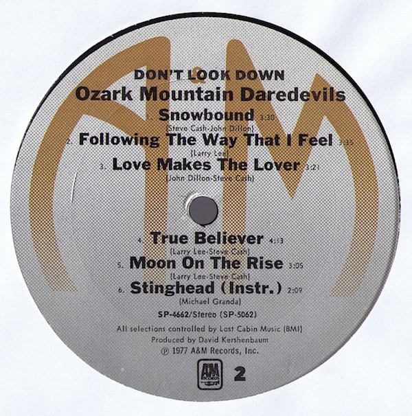 The Ozark Mountain Daredevils-3
