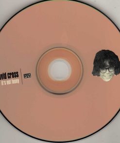 David Cross (2)-2