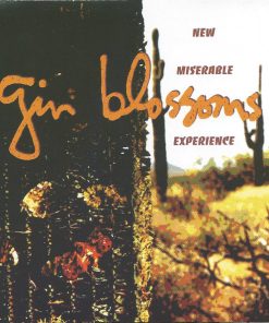 Gin Blossoms-0