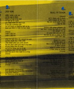 Ray Bonneville-4