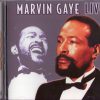Marvin Gaye-0