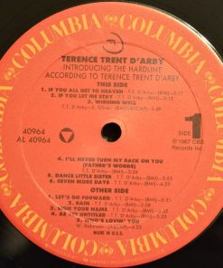Terence Trent D'Arby-2
