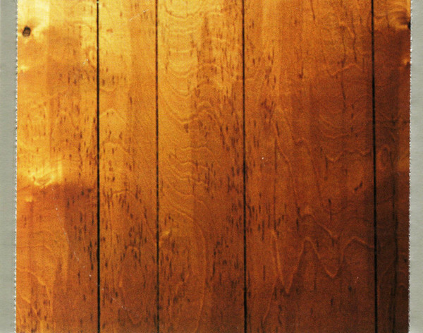 Teddy Thompson-3