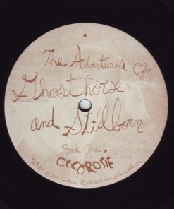 CocoRosie-4