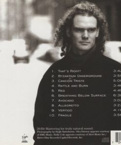 Jesse Cook-1