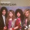 White Lion-0