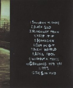 Soul Asylum (2)-4