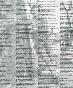 Bruce Springsteen-2