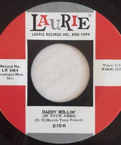 Dion (3)-1