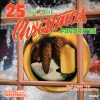The Starlite Pop Orchestra*-0