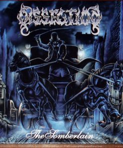Dissection-1