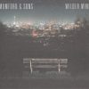 Mumford & Sons-0