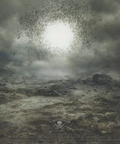 Allegaeon-4