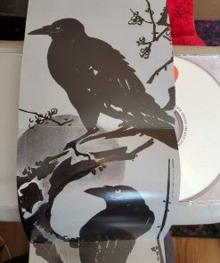The Black Crowes-1