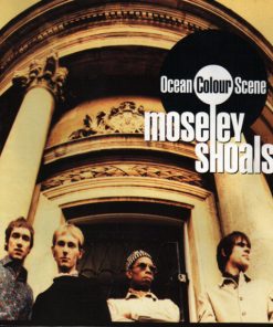 Ocean Colour Scene-0