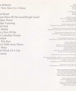 Sam Roberts-4