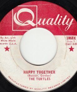 The Turtles-0