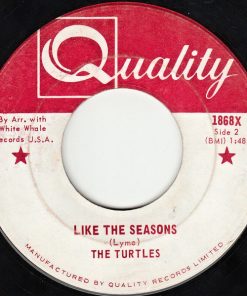 The Turtles-1
