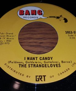 The Strangeloves-0