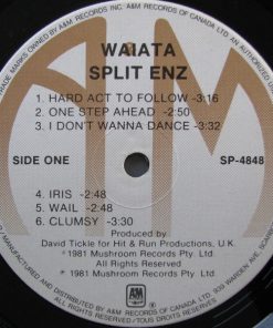 Split Enz-2