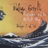 Indigo Girls-0