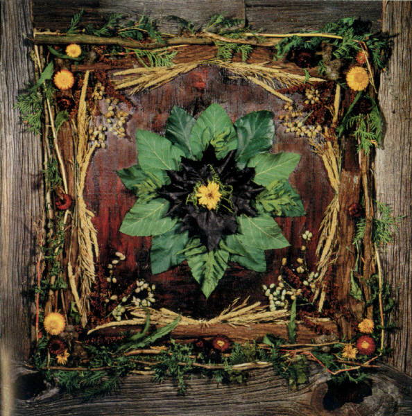 Blue Rodeo-1