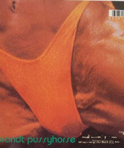 Butthole Surfers-2