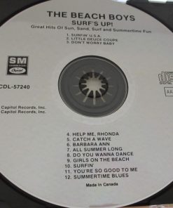 The Beach Boys-2