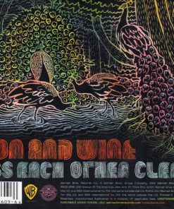 Iron And Wine-1
