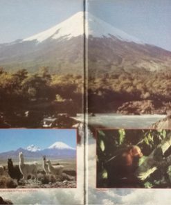 Inti-Illimani*, Guamary-1
