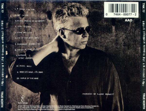 Bruce Cockburn-2