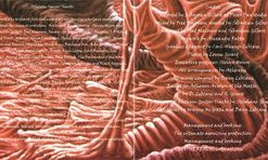 Atheretic-3