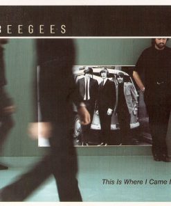 Bee Gees-0