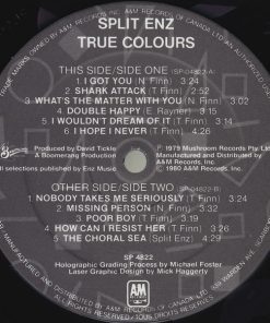Split Enz-2