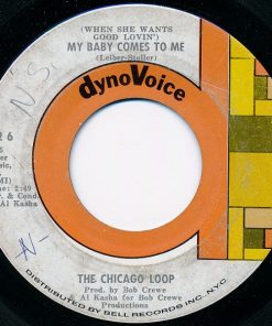 The Chicago Loop-0
