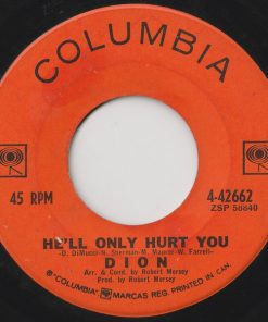 Dion (3)-1