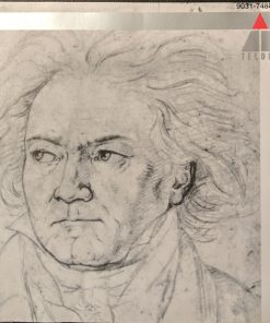 Beethoven* - Mei* • Lipovšek* • Rolfe Johnson* • Holl* • Arnold Schoenberg Chor, The Chamber Orchestra Of Europe, Nikolaus Harnoncourt-4