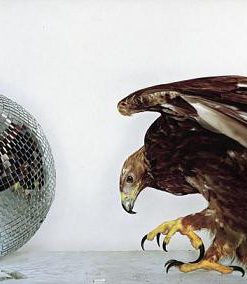 New Order-0