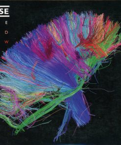 Muse-0