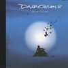 David Gilmour-0