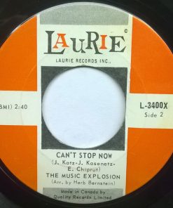 The Music Explosion-1