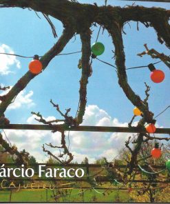 Márcio Faraco-4