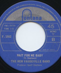 The New Vaudeville Band-1
