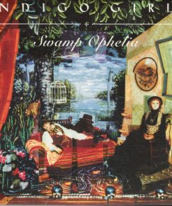 Indigo Girls-0