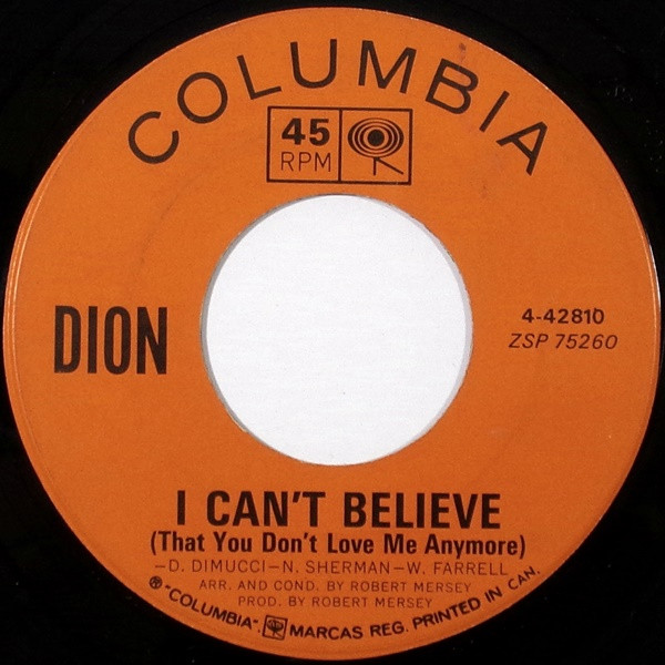 Dion (3)-1