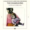 The Chameleons-0